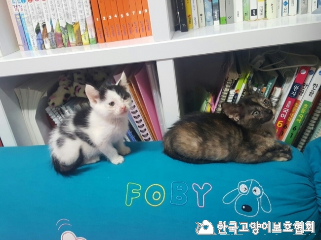 KakaoTalk_20171201_165400826.jpg