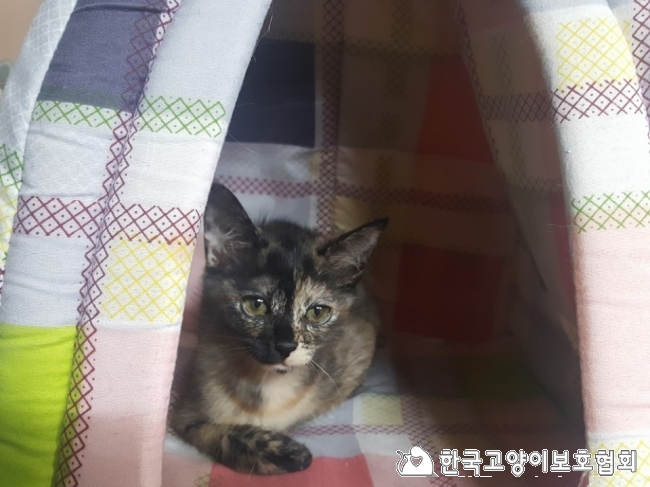 KakaoTalk_20171203_204243214.jpg