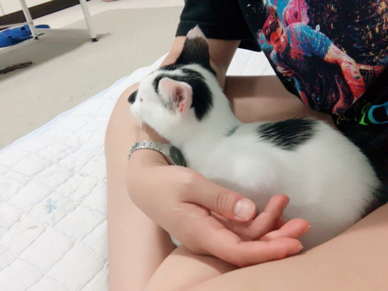 KakaoTalk_20171016_153544309.jpg