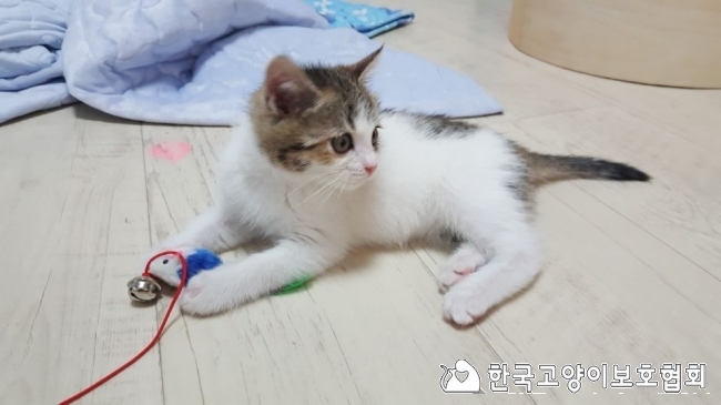 KakaoTalk_20180103_141950045.jpg