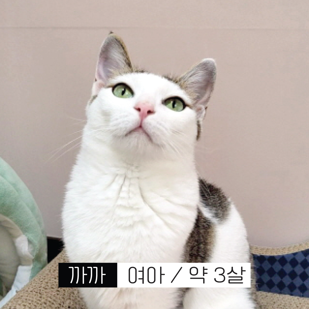 까까프로필.jpg