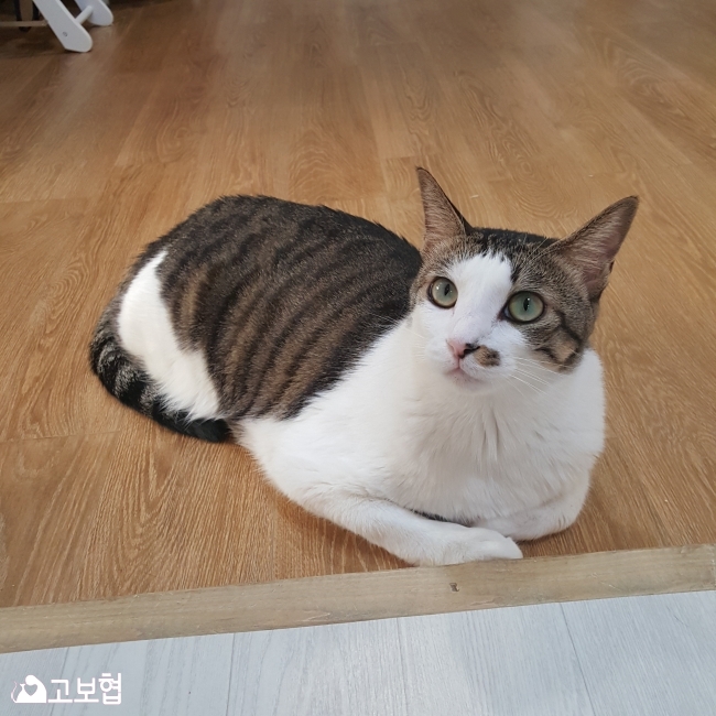 KakaoTalk_20180803_170128290.jpg