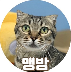 맹밤_프로필.jpg