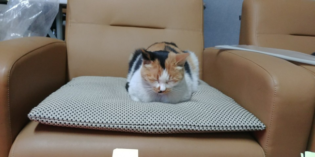 KakaoTalk_20190123_171203188.jpg