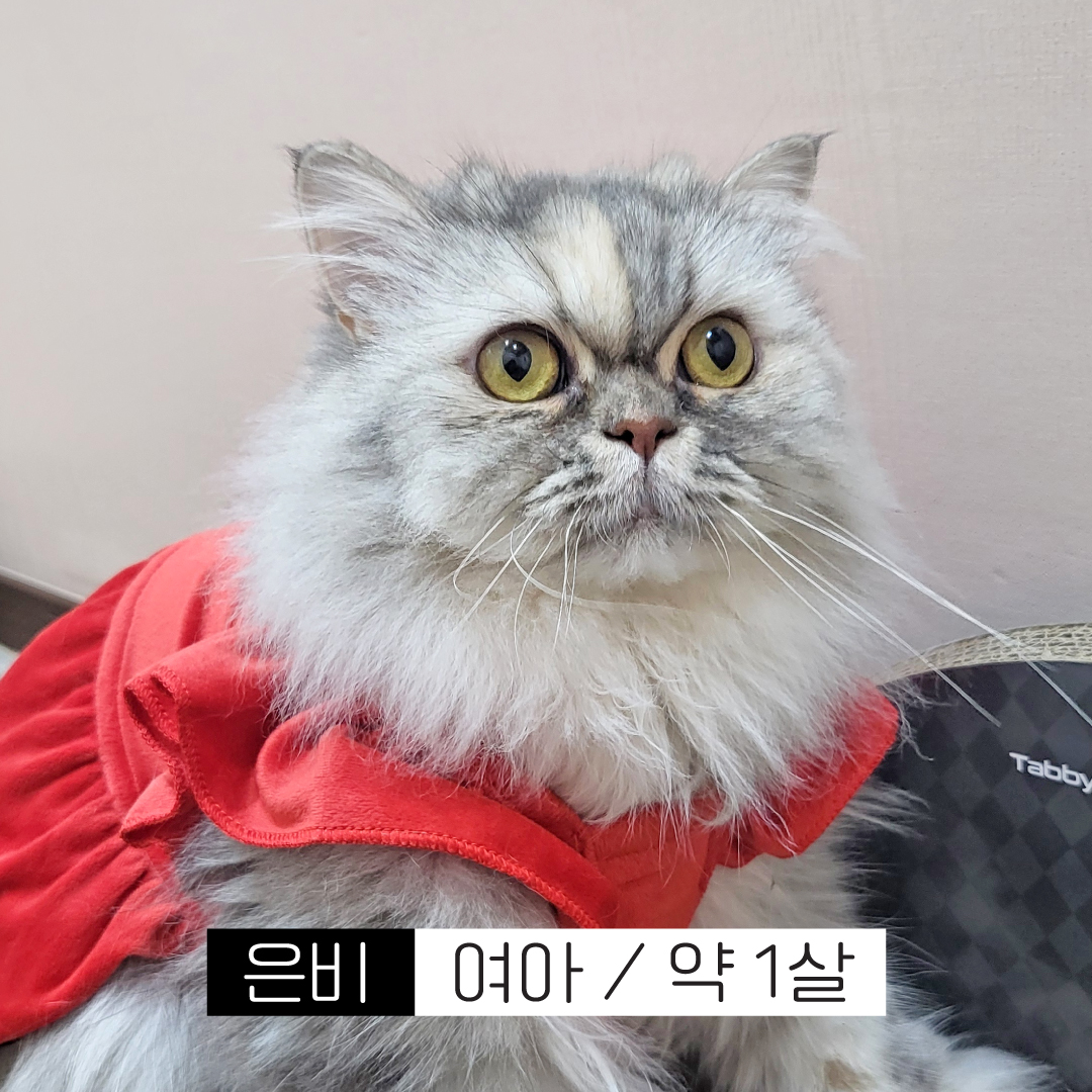 은비.jpg