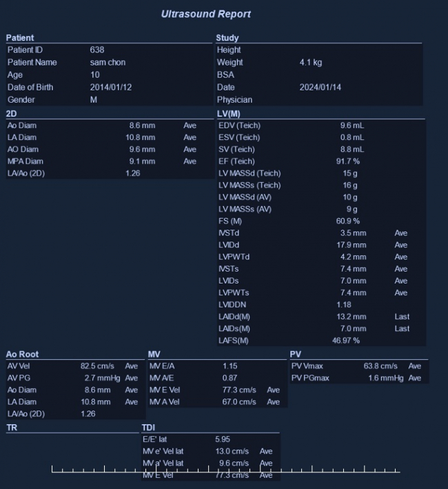 서울은내과 심장초음파 결과지.jpg