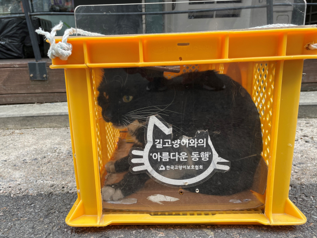 깜냥이2.jpg