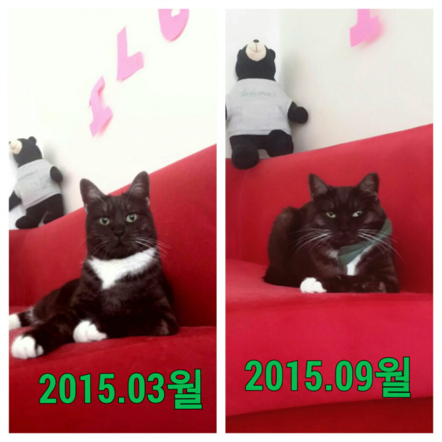 KakaoTalk_20151020_203105726.jpg