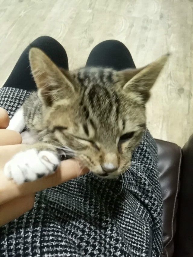 KakaoTalk_20160301_143423881.jpg