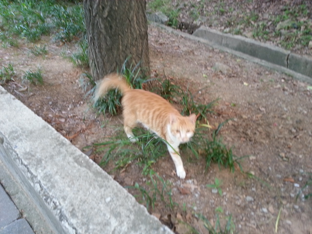 20130626_184432.jpg