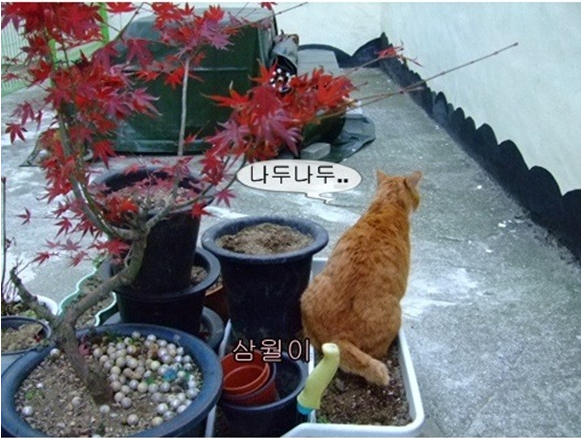 화장실대용4.png