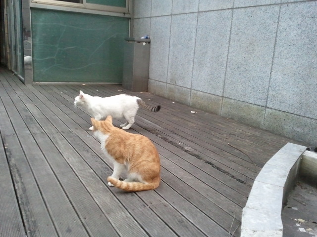 2011-09-12 18.17.34 - 복사본 - 복사본.jpg