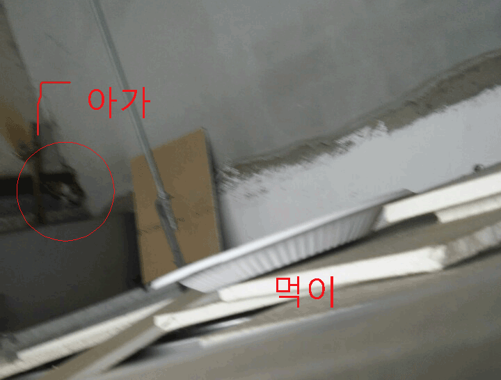 KakaoTalk_20180531_005447738.gif