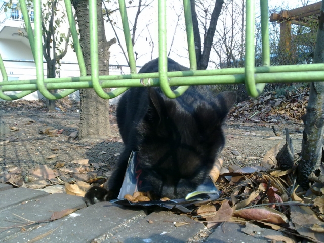 경동-20111221555.jpg